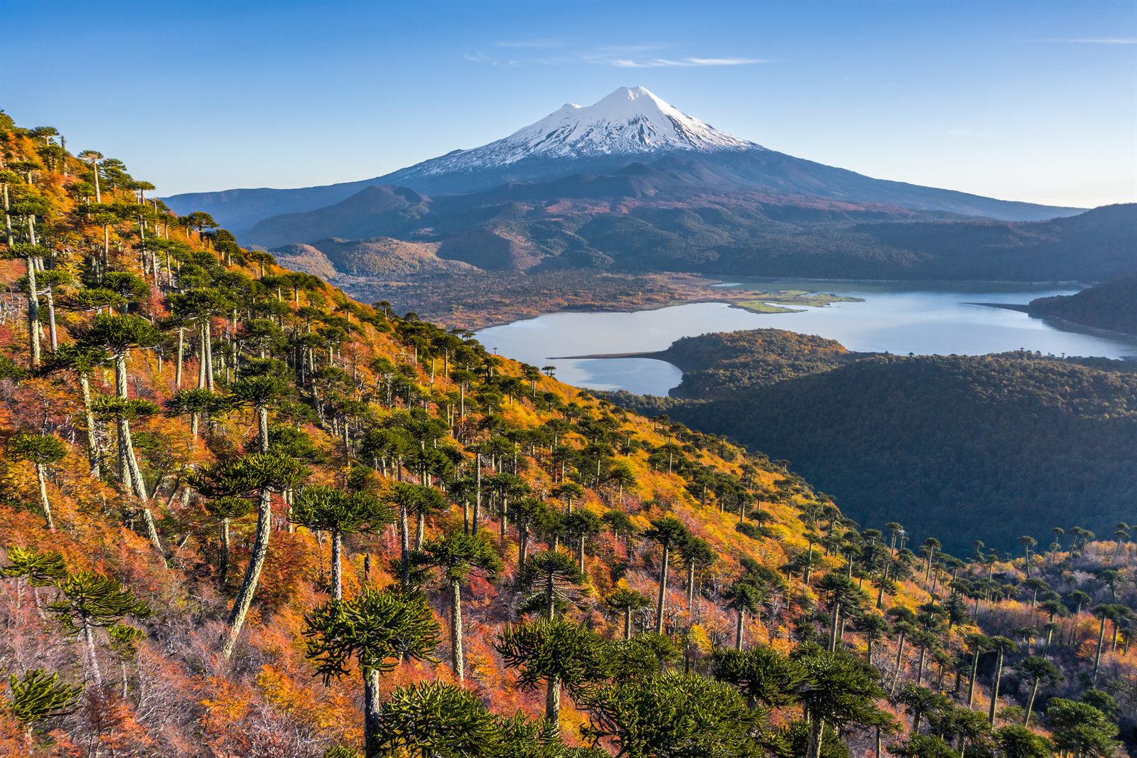 Parque Nacional Conguillío en otoño