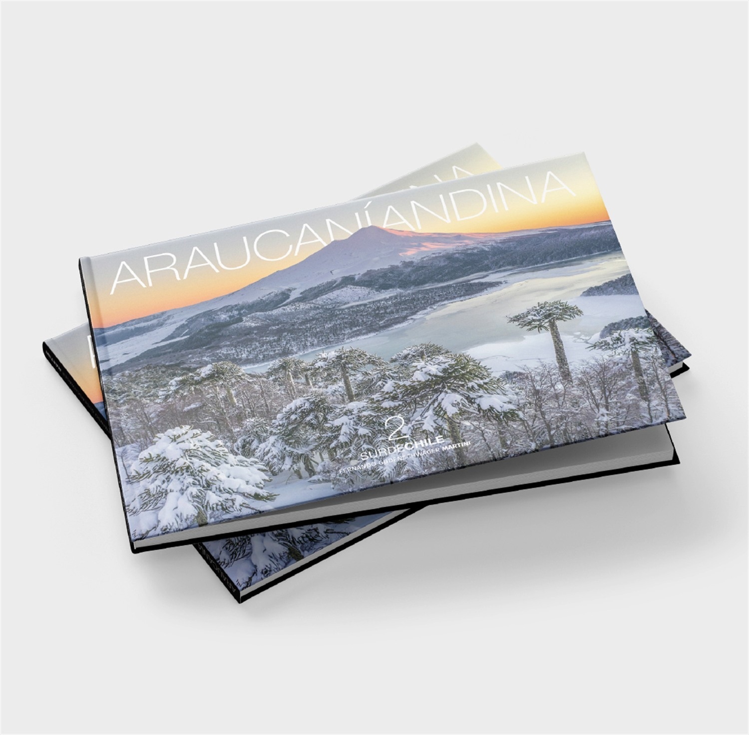 Libro Araucanía Andina 2